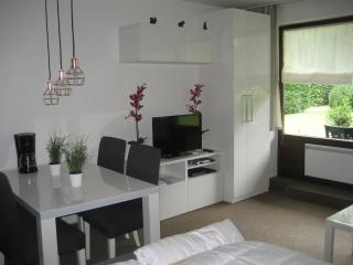 Buhr Apartment - Winterberg - 9