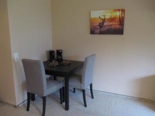Buhr Apartment - Winterberg - 1
