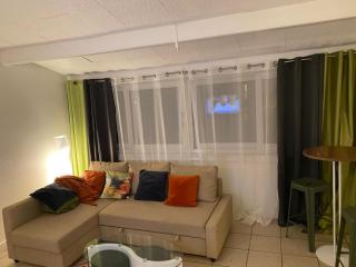 Stade de France 40 mn, Disneyland 40 mn F2 46 m2 calme, quartier cosy, 200m du RER - 9