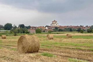 4 tea 4 house - Romano Canavese - 2