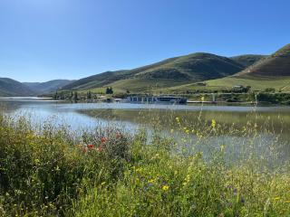 PH in Alto Douro Vinhateiro - - 1