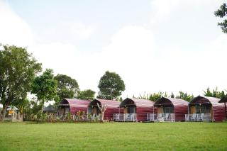Bali Strawberry Glamping and Camp Bedugul - 3