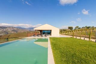 Host Wise - Douro Valley Luxury Home with Vineyard and Infinity Pool - Santa Marta de Penaguião - 5