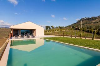 Host Wise - Douro Valley Luxury Home with Vineyard and Infinity Pool - Santa Marta de Penaguião - 4