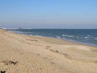 La Casetta del Porto - Pesaro - 9