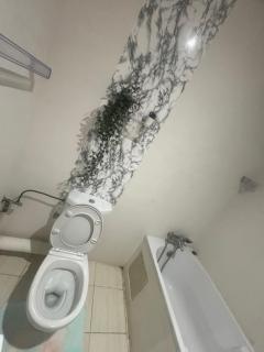 Logement chic - Casablanca - 1