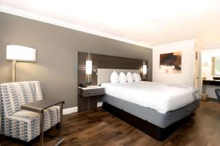Rodeway Inn San Jose HWY-101 Tully Rd Exit - San José - 4