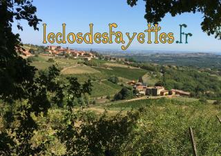 Le Clos des Fayettes - 5