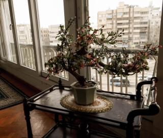 Authentic Cozy Family Home with Prime Location - Le Caire - 0