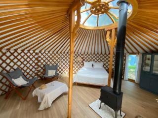 Ons Yurt Huisje in het Bos - Hollandsche Rading - 3