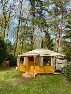 Ons Yurt Huisje in het Bos - Hollandsche Rading - 1