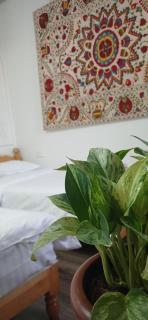 Sarrof Guest House - 2