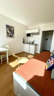 Charming Bright Sunny Studio in Belleville - 5
