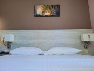 Hotel Restaurant Les Chataigniers - Privas - 7