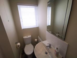4br Modern Botanic House - Belfast - 3