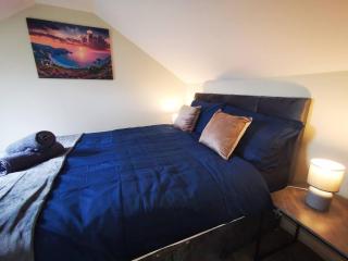 4br Modern Botanic House - Belfast - 6