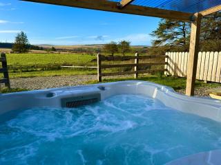 Forest View Cottage - Private Hot Tub - Ballynameen - 3