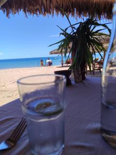 7 COCOTIERS F2 terrasse jardin plage privée avec vue mer - 9