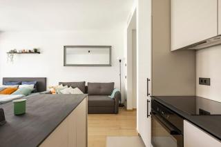Downtown central1~Novi Dorcol~35m2~walk everywhere - Belgrado - 2