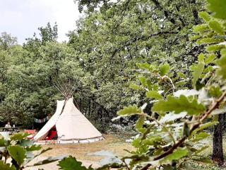 Tipizen - Trans-en-Provence - 0