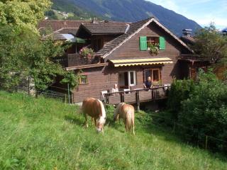 Haus Kasimir - Schruns - 9