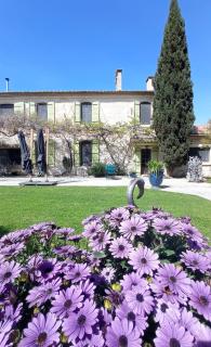 Le Mas Neuf 1752 - Arles - 7