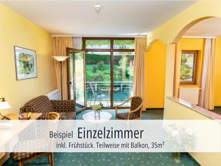 Hotel Am Kurhaus mit erstem Ayurveda Center Sachsens - direkt am Gesundheitsbad ACTINON & Kurpark - Bad Schlema - 9