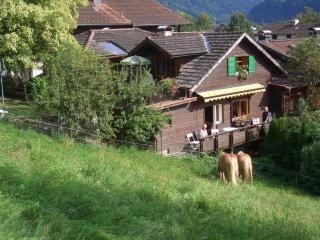 Haus Kasimir - Schruns - 6