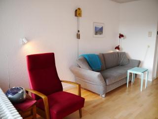 Ferienwohnung Auch am Berg, Todtnauberg, Feldberg - Ennerbach - 8