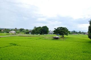 Pernjai Homestay บ้านคำข้อน - Ban Lao - 2