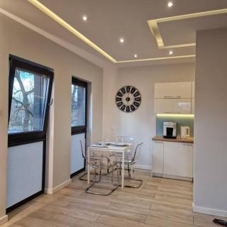 Apartament Nad Strugą, klimatyzacja, parking,taras - Toruń - 6