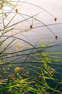 Rivertime - Malgas - 9