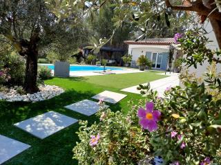 L Olivadou B&B - Trans-en-Provence - 8