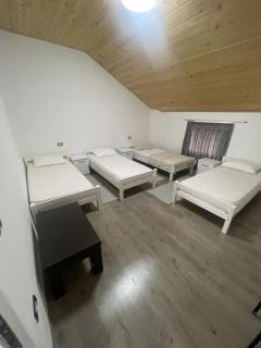 Alpine Paradise Guesthouse - Dragobi - 2