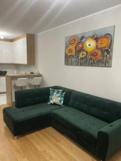 Apartament VIP II centrum Białystok - Białystok - 9