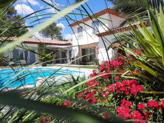 L Olivadou B&B - Trans-en-Provence - 9