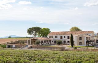 Domaine Demol - Valensole - 0