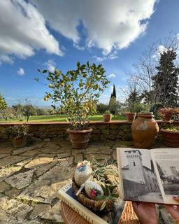 Traditional Farmhouse in Chianti - Castellina in Chianti - 4