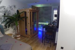 Appartement balnéothérapie et sauna hyper centre - Nantes - 7