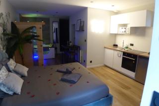 Appartement balnéothérapie et sauna hyper centre - Nantes - 5