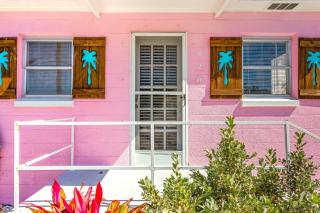 Pink Flamingo - Dunedin - 9