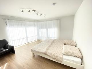 Modern One Bedroom + Bathroom Apartment, 10 min from Basel City - Grenzach-Wyhlen - 0