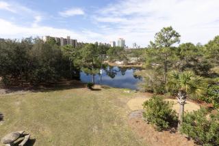 Palmetto 306 - Orange Beach - 2