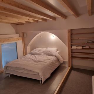 Coq bleu - Reims - 3
