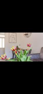 Studio Apartman Sapore Di Mare - Jesenice - 1
