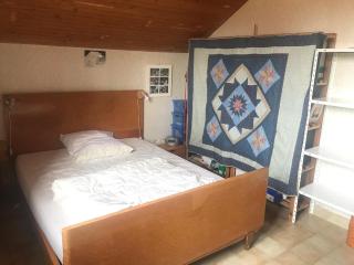 Grand chalet familial - Forest-Saint-Julien - 1