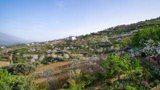 Vila Dean - Berat - 7