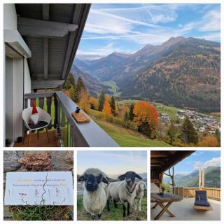 Panoramahof Bianca - Winklern - 7