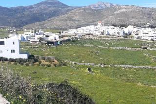 Olympio Luxury Studio Paros - Kampos Paros - 3