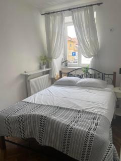 Valentina's Apartment in City Center - Brasov - 3